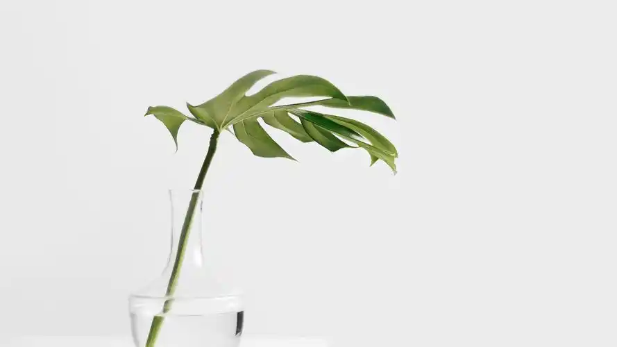 小清新创意静物摆件唯美高清桌面壁纸欣赏