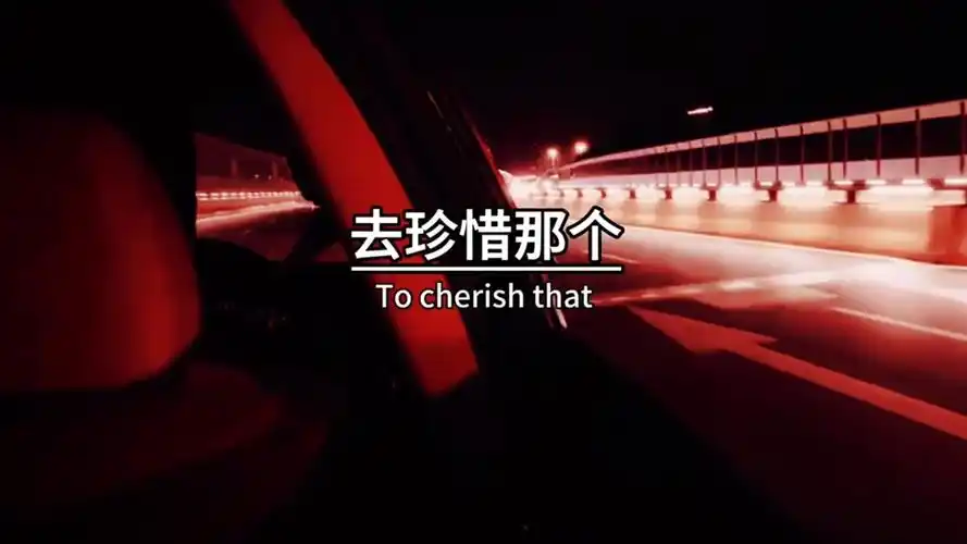 一辈子很短,一定要去喜欢那个,很拽却愿意为你低头的人,去珍惜