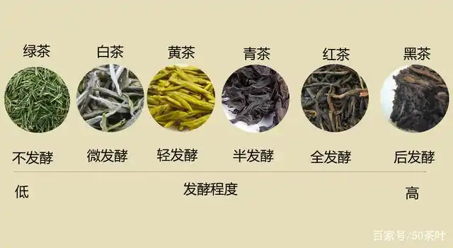 (白茶的产区,分类,白茶新工艺)