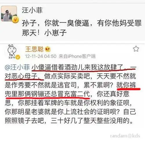王思聪骂汪小菲真狠