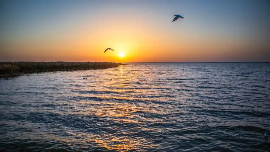 西部自驾三十三天(十)——居延海醉美日出,朝霞鸥影相辉映