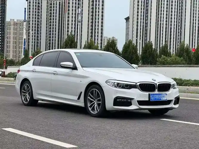 宝马 宝马5系  2019款 530i 2.0t m运动套装图片