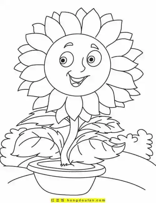 有趣的太阳花向日葵圆圆的脸庞卡通涂色图片-红豆饭小学生简笔画大全
