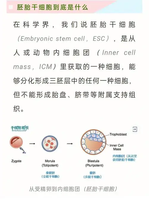 什么市胎盘干细胞那目前国内外研究如何