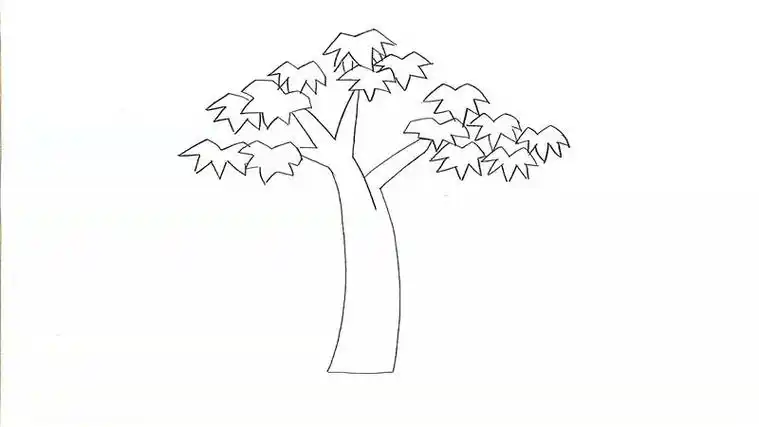 梧桐树简笔画怎么画梧桐树简笔画步骤