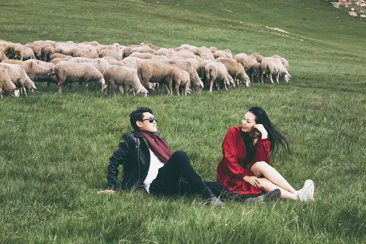 草原上的情侣