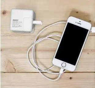 厂家批发金伯利628b充电器ipad2.1a快速闪充双usb输出手机充电头