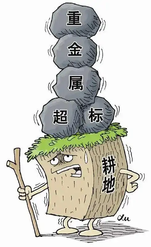 重金属超标!咋保障农产品安全?