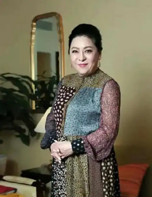 作家陈岚被人骂同名向太躺枪