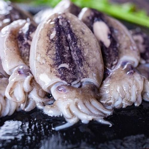 赛卡伊小墨鱼无冰新鲜速冻海鲜乌贼鱼墨斗鱼目鱼墨鱼仔带墨汁1斤约12