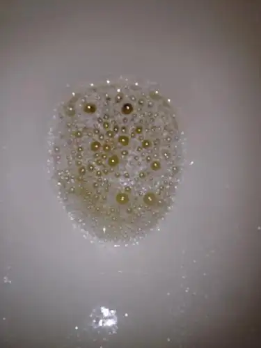 2回答 歇后语猜生肖:猪尿泡打人不痛----有些气胀.