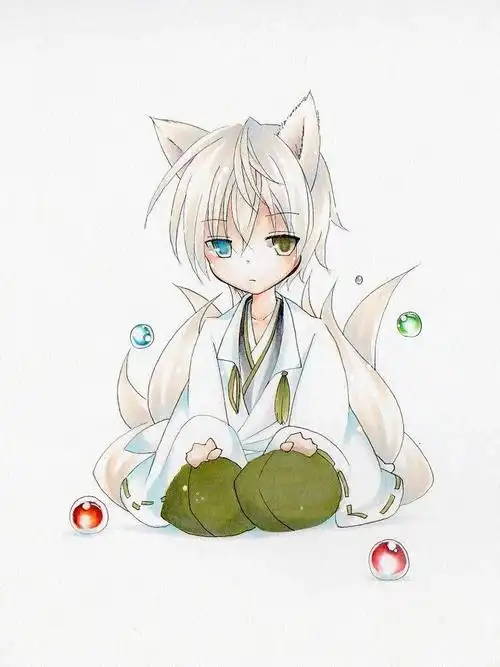 壁纸7878御狐神双炽妖狐仆ss877期