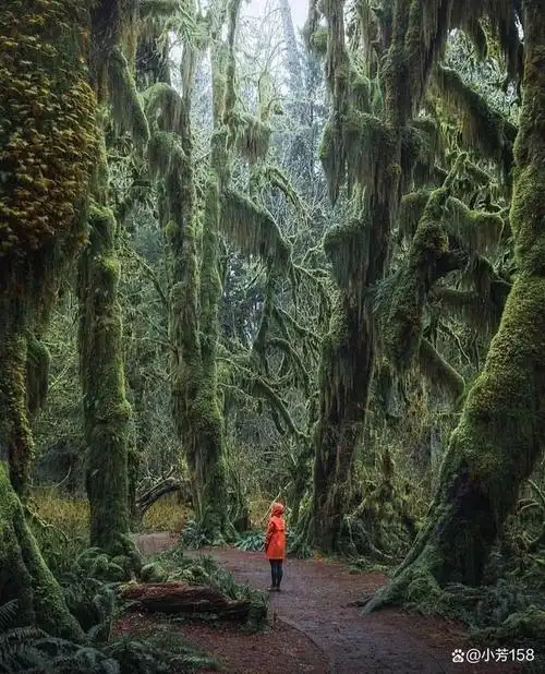 大地之美,无与伦比当我们踏入大自然的怀抱,一片广袤无垠,美丽无比的