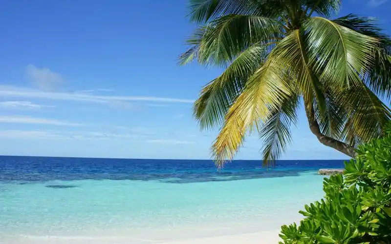 夏日海滩_唯美_东方摄影 - 全球领先中文摄影网!