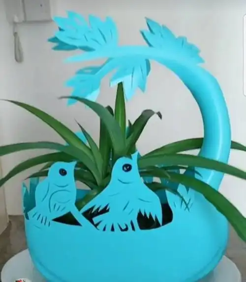 洗衣液桶养花省钱又实用该怎么操作将这6步做到位就好了