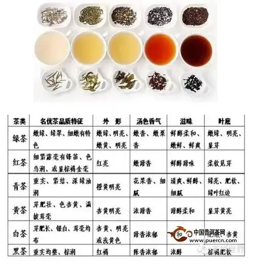 学茶从零开始的四个阶段