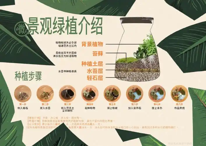 微景观绿植暖场活动布置与制作过程