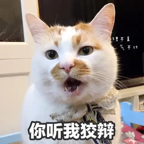 楼楼猫可爱萌宠表情包头像沙雕搞笑