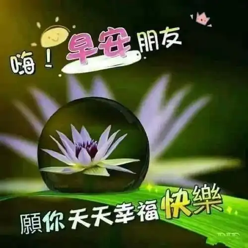 七月十七日最漂亮早上好图片大全动态表情群里大家早上好的图片祝福语