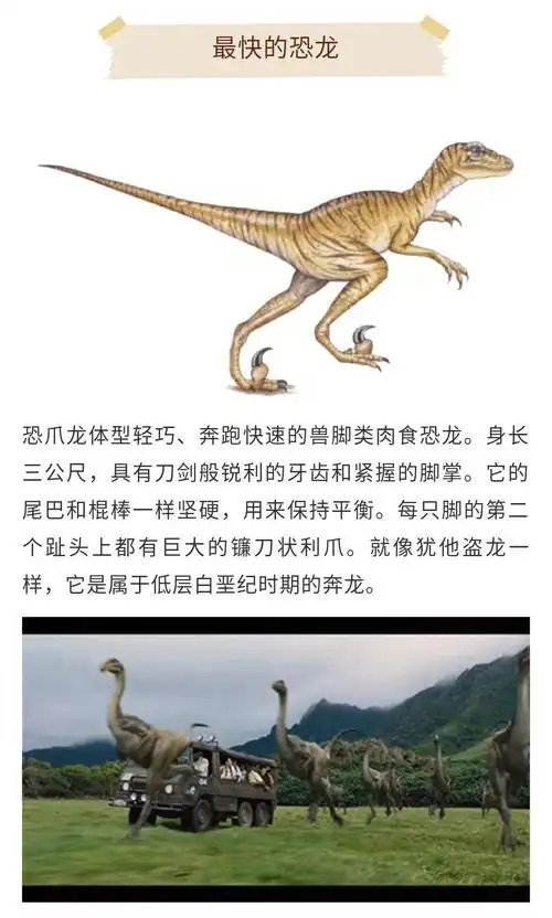 "恐龙之最"