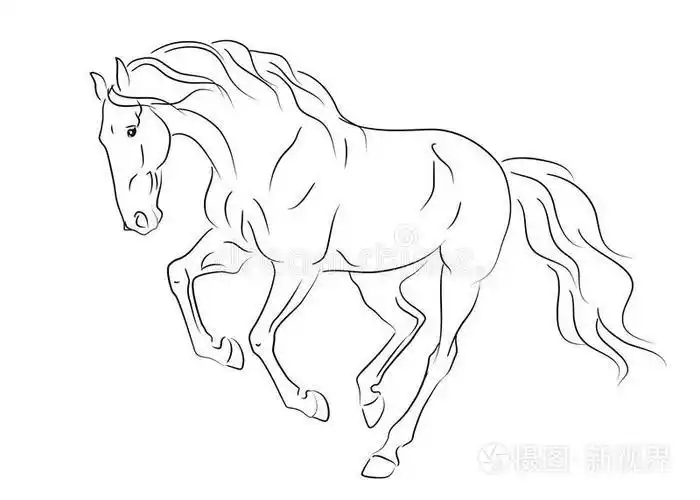 奔跑安达卢西亚马素描