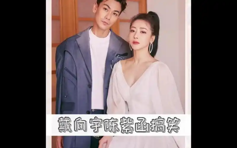 戴向宇做饭受难的却是陈紫函,番茄炒鸡蛋是怎么做成蛋花汤的