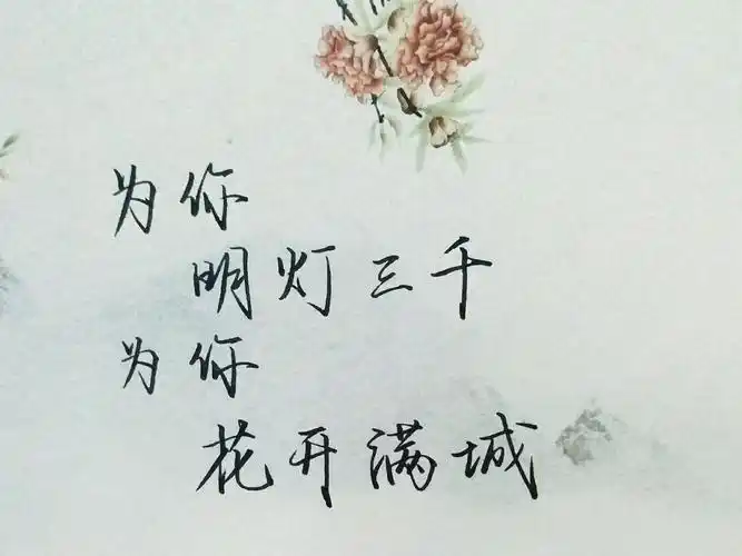 为你     明灯三千 为你     花开满城