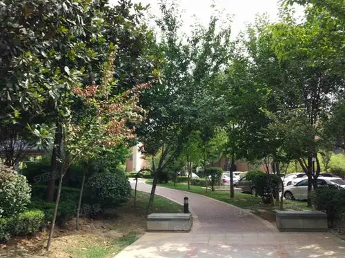 中海观园b区,曲江大道169号-西安中海观园b区二手房,租房,房价-西安