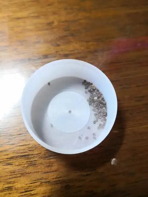 春蚕到死丝方尽 __蚕的一生