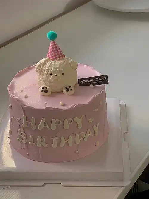 今年的生日蛋糕赶紧来预定一下吧