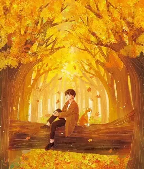 少年与猫咪的日常生活,浪漫唯美而温情的插画