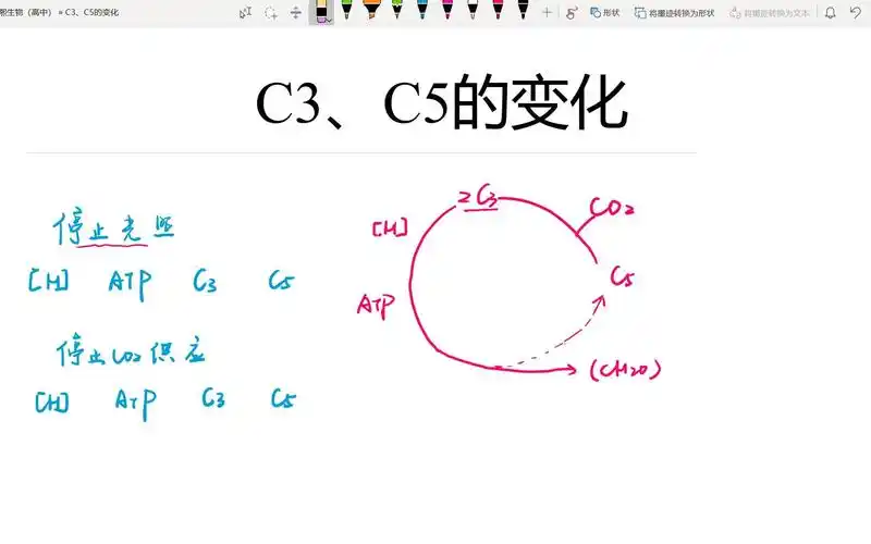 【高中生物】必修一|光合作用碳三c3碳五c5的变化