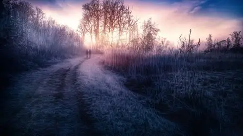 壁纸 黎明,草,树木,道路,雾,hdr样式 5120x2880 uhd 5k 高清壁纸