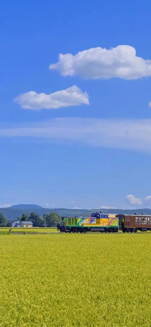 夏天干净治愈系美图 前方的风景好 我的意思是别回