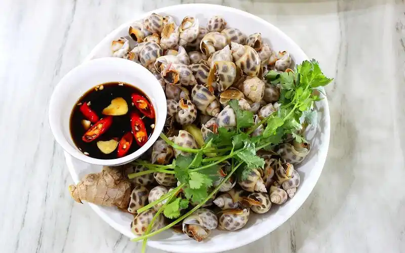 花螺做法很多就属白灼最原汁原味也更能品尝它的原始鲜味