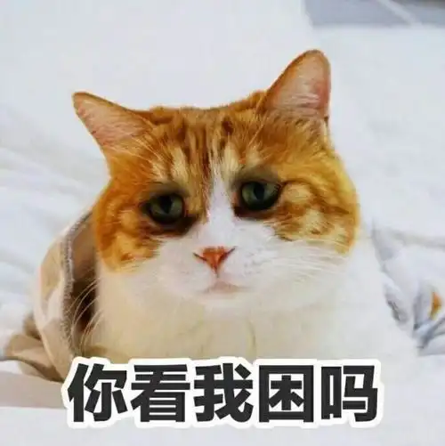 你看我困吗_猫咪表情困到睁不开眼 表情 假笑男孩今晚还得学习呢 - 我