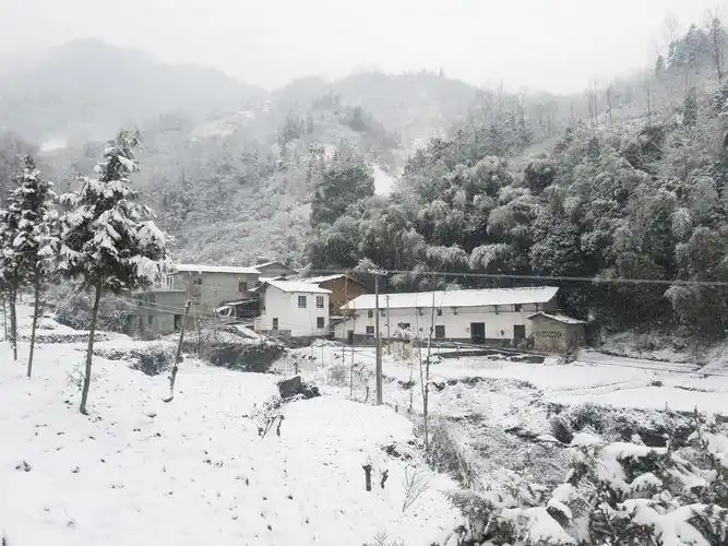大巴山的雪