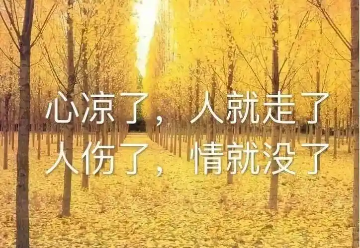 心情失望的句子句句心碎让人感伤流泪