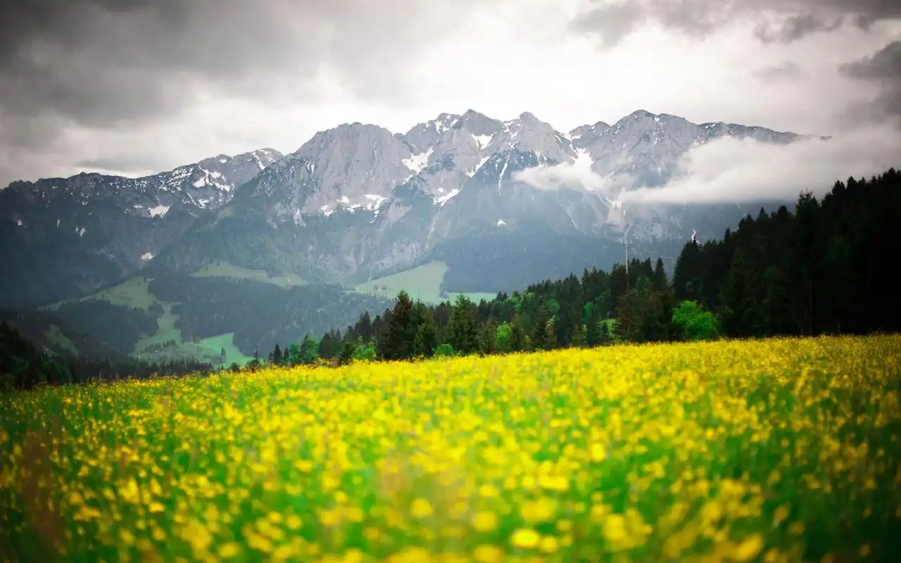 大自然唯美风景背景图片桌面壁纸