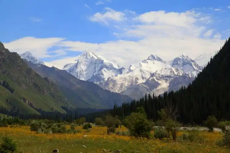 新疆行4-《夏塔古道雪山风景》-行摄风光-36行南阳社区-36.01ny.cn -