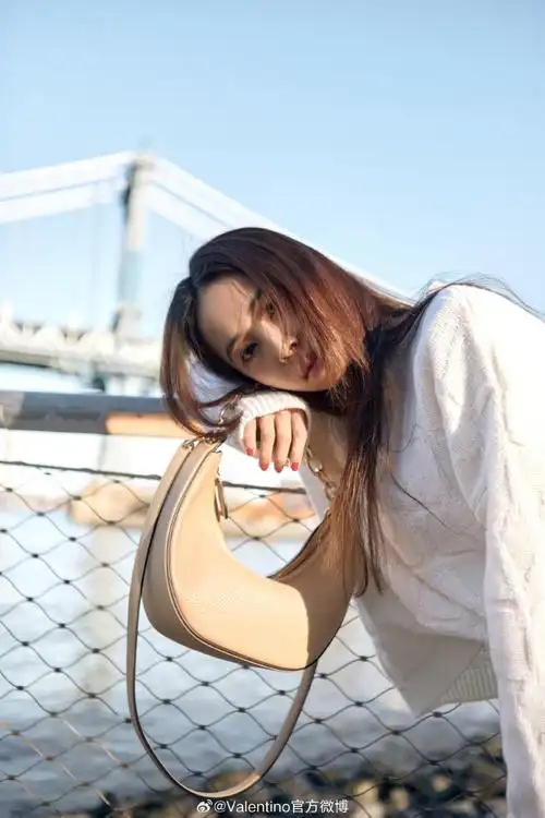 valentino品牌代言人蔡依林##valentino2024早春系列##vlogomoon
