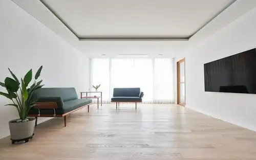 60岁老两口的极简生活全屋精简客厅不收纳155㎡看着就享受