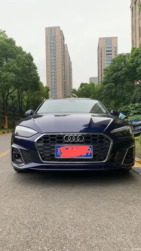 【图】求a5组织_1_奥迪a5论坛_爱卡汽车