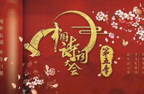 《中国诗词大会》第五季,董卿无缘主持,她的到来让人唏嘘!