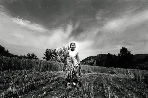 中国农民60年代生活纪实《多想再给你们照相啊,俺爹俺娘》