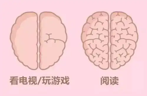 玩游戏会让人变傻关于大脑的九件事