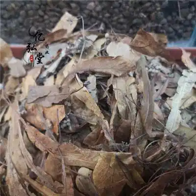 椴树花中药材椴树花价格椴树花多少钱一斤