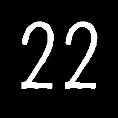 谁有数字22的头像啊?