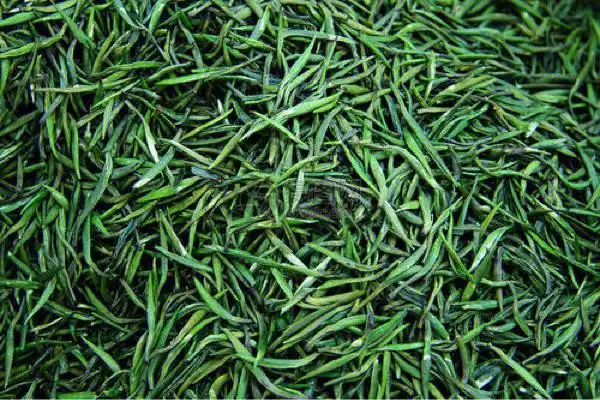 茶缘六大茶类制茶工艺之四青茶乌龙茶