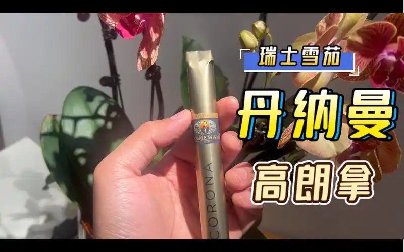 瑞士丹纳曼高朗拿雪茄品吸